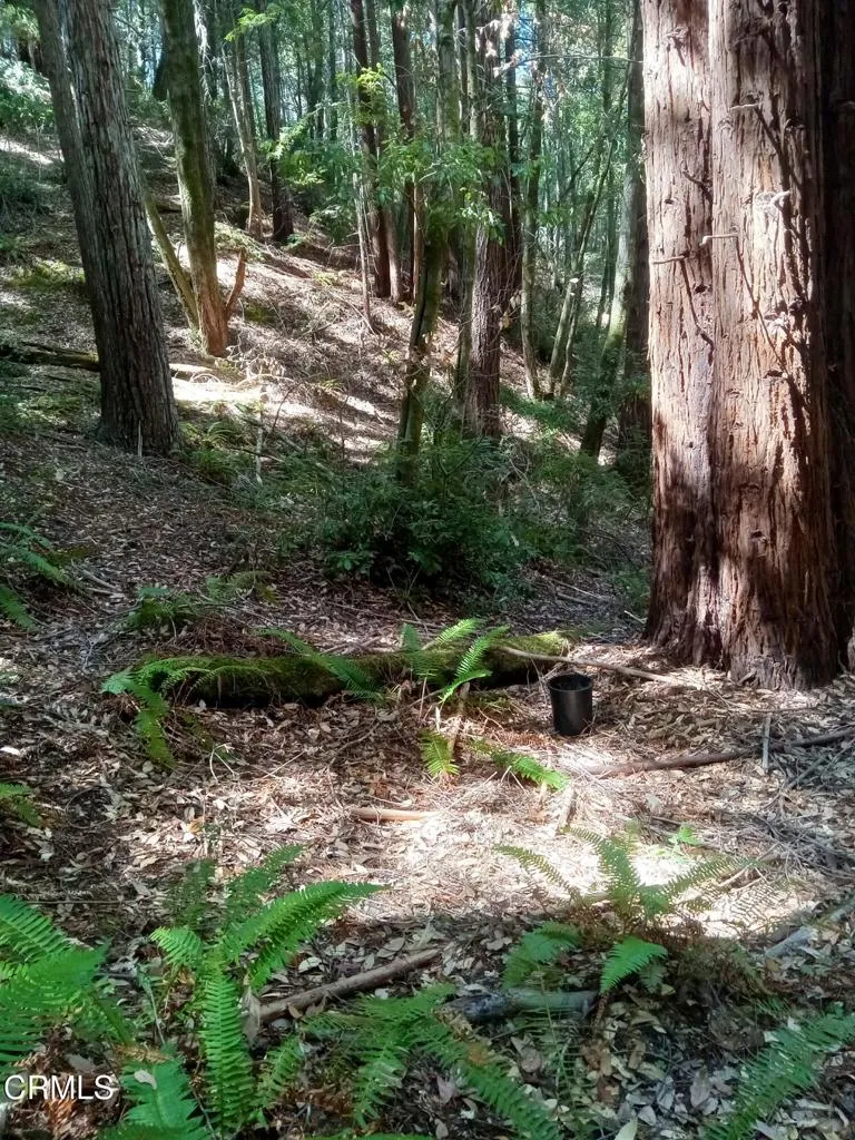 Additional image 23 of 19800 Appaloosa Way, Philo, CA 95463