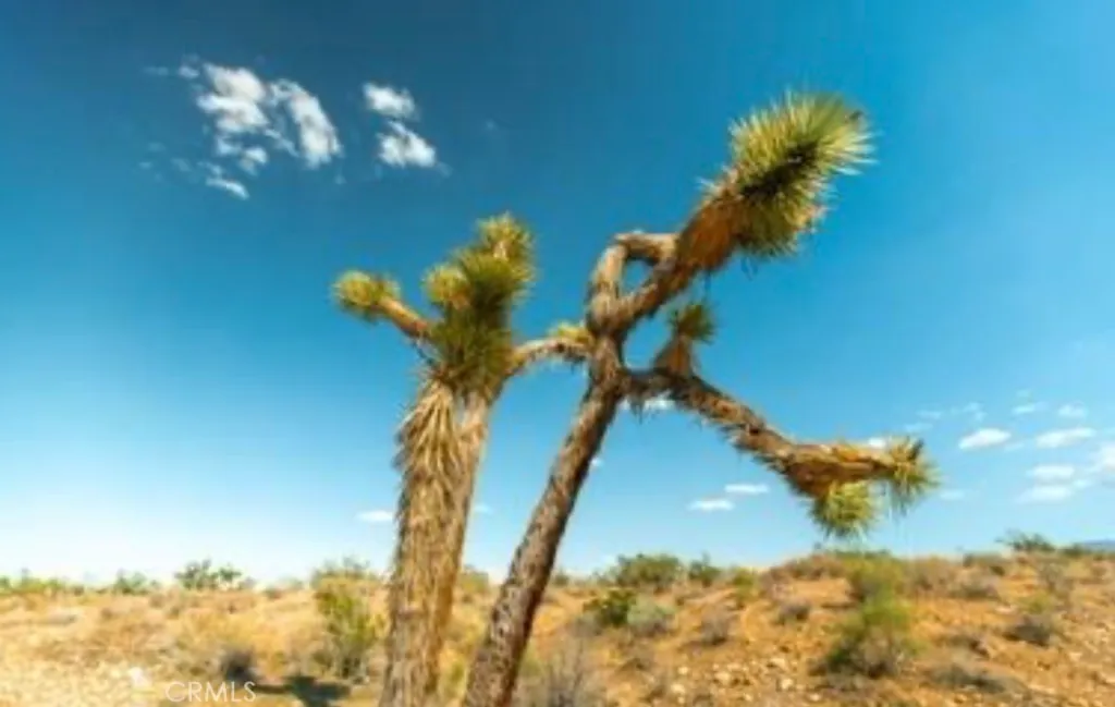 Additional image 19 of 10 171st E, Palmdale, CA 93591