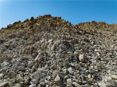 Additional image 13 of Jackass, 29 Palms, CA 92277