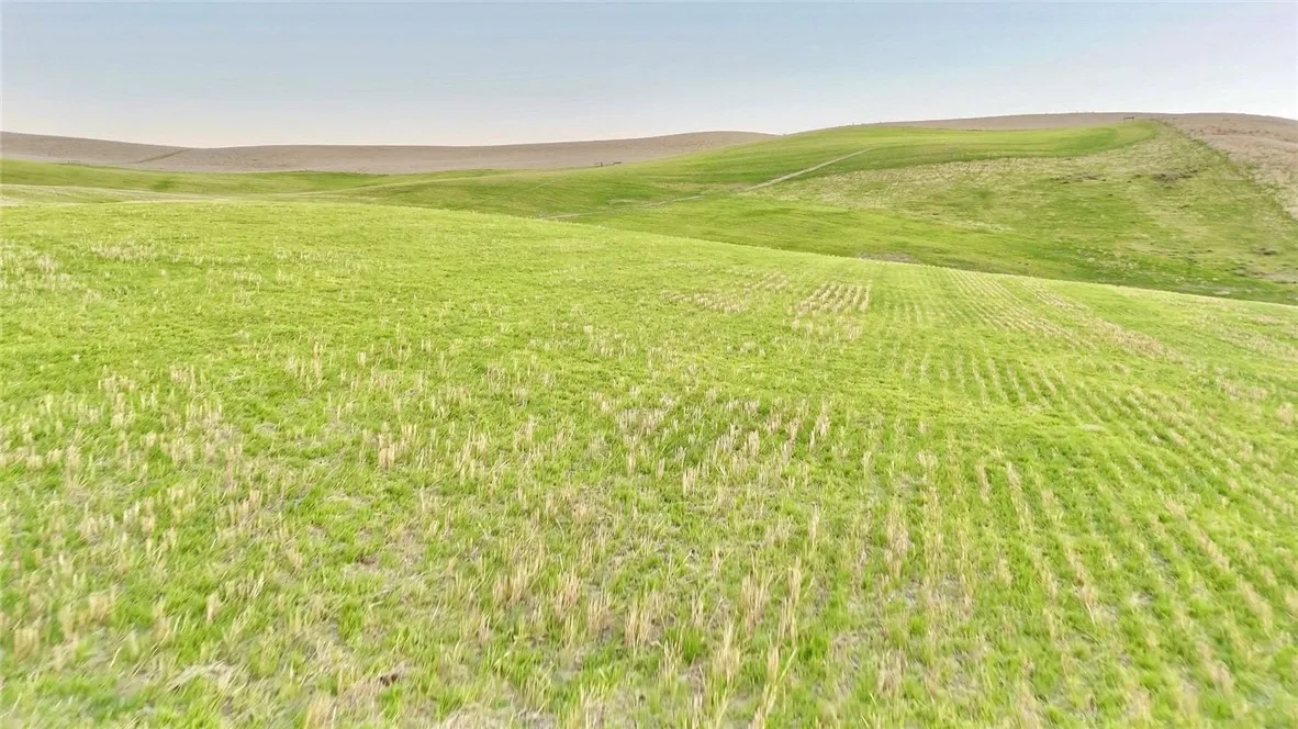 Additional image 34 of 3780 S Gillis Canyon, Shandon, CA 93461