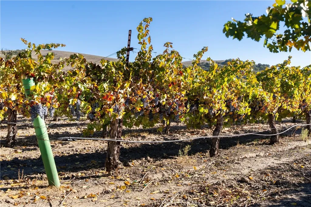 Additional image 12 of 77620 Lowes Canyon Road, San Miguel, CA 93451