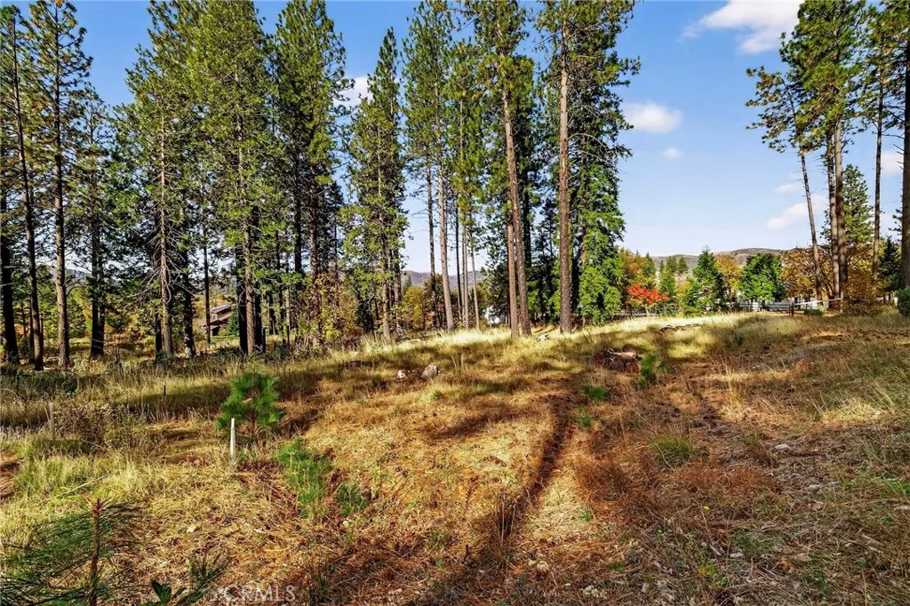 Additional image 65 of 4120 Jack Dale Way, Oroville, CA 95965