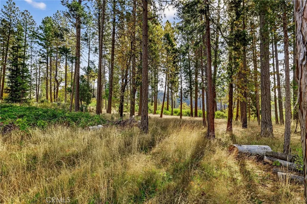 Additional image 69 of 4120 Jack Dale Way, Oroville, CA 95965