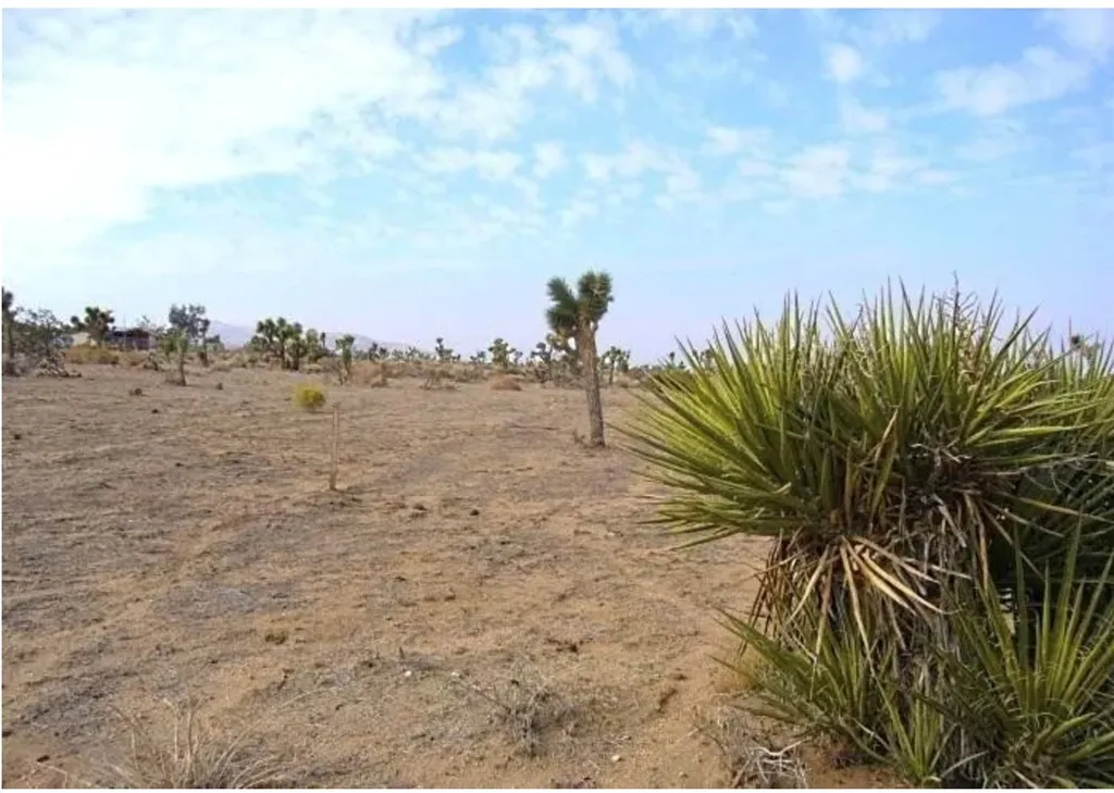 Additional image 2 of 9588 Milpas, Apple Valley, CA 92308