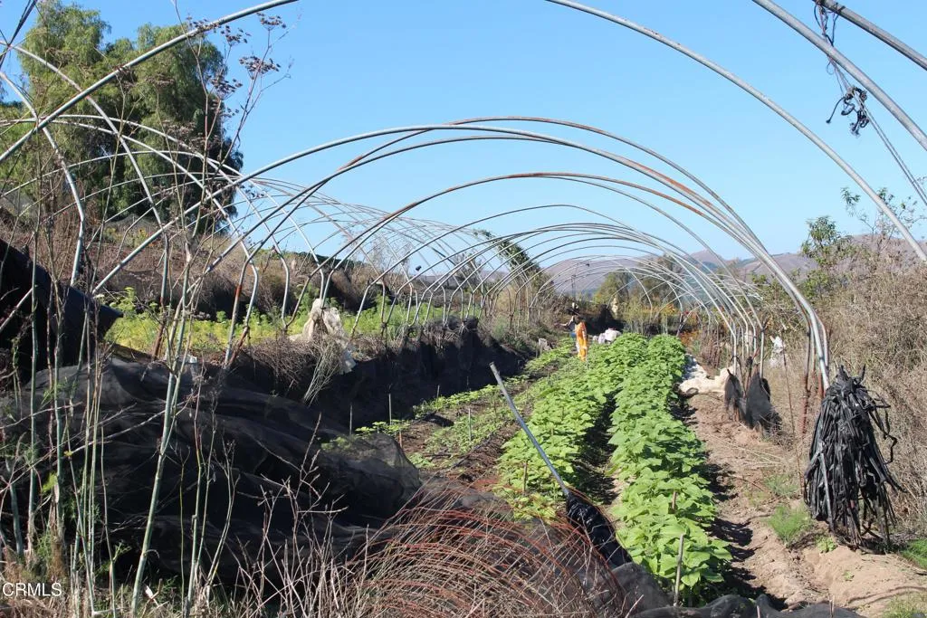 Additional image 10 of 1672 E Los Angeles Avenue, Somis, CA 93066