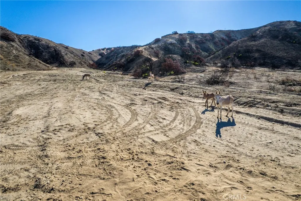 Additional image 9 of Smiley Boulevard, Redlands, CA 92373