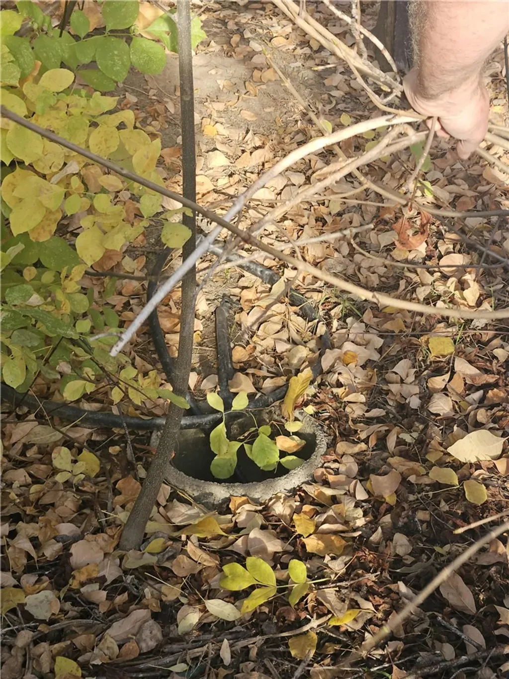 Additional image 18 of 58111 Lark Ln, North Fork, CA 93643