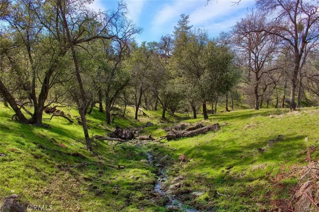 Property image for 160 AC Cotton Creek Rd, Mariposa, CA 95338