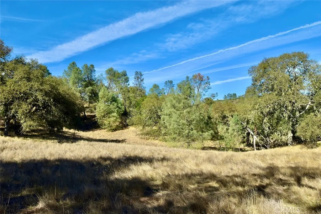 Additional image 36 of 47811 Sapaque Valley Rd, Bradley, CA 93426