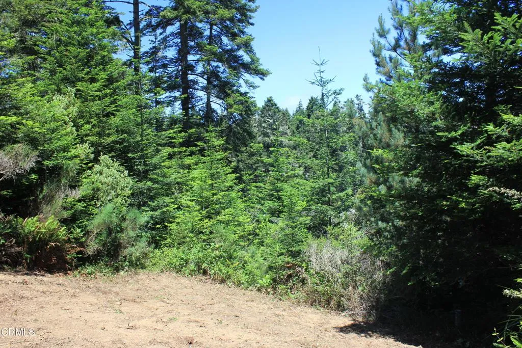 Additional image 12 of 44068 Ocean Vista Court, Mendocino, CA 95460