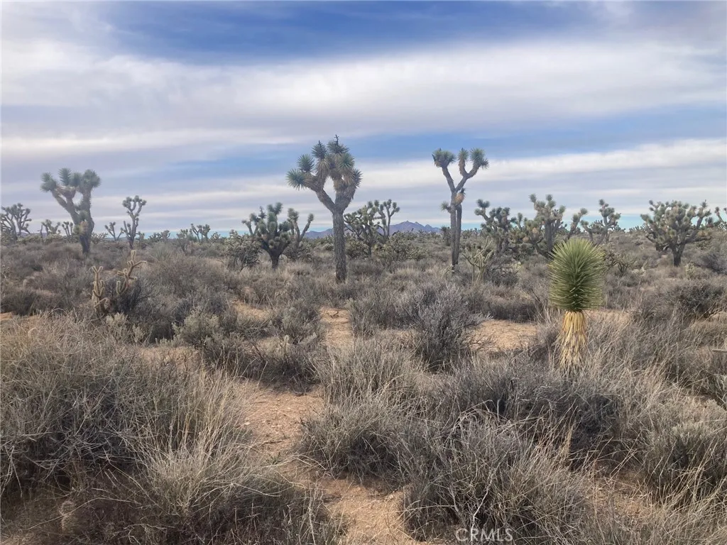 Additional image 3 of Cedar Canyon, Essex, CA 92332