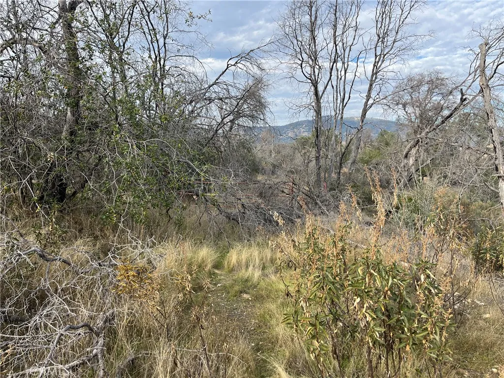 Additional image 6 of 4934 Guadalupe Fire, Catheys Valley, CA 95306