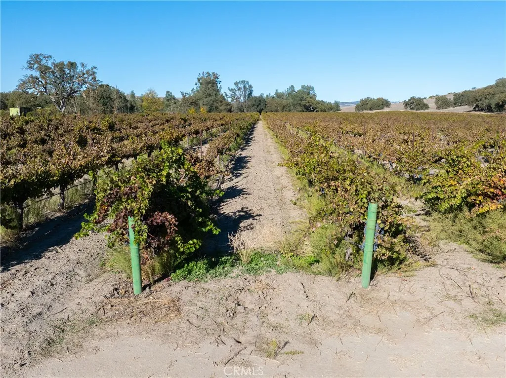 Additional image 11 of 77620 Lowes Canyon Road, San Miguel, CA 93451