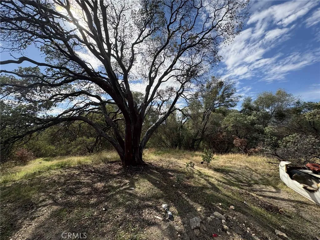 Additional image 17 of 38699 Road 600, Raymond, CA 93653