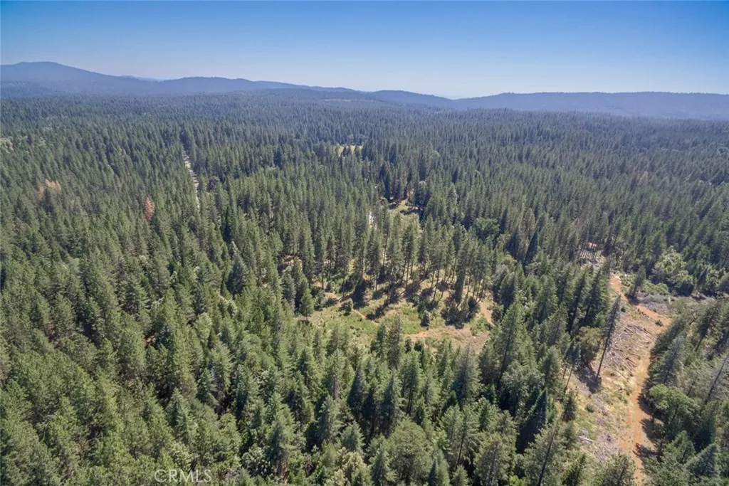 Additional image 20 of forbestown rd, Forbestown, CA 95941