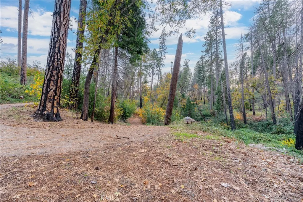 Additional image 45 of 1770 Heynen Rd, Paradise, CA 95969