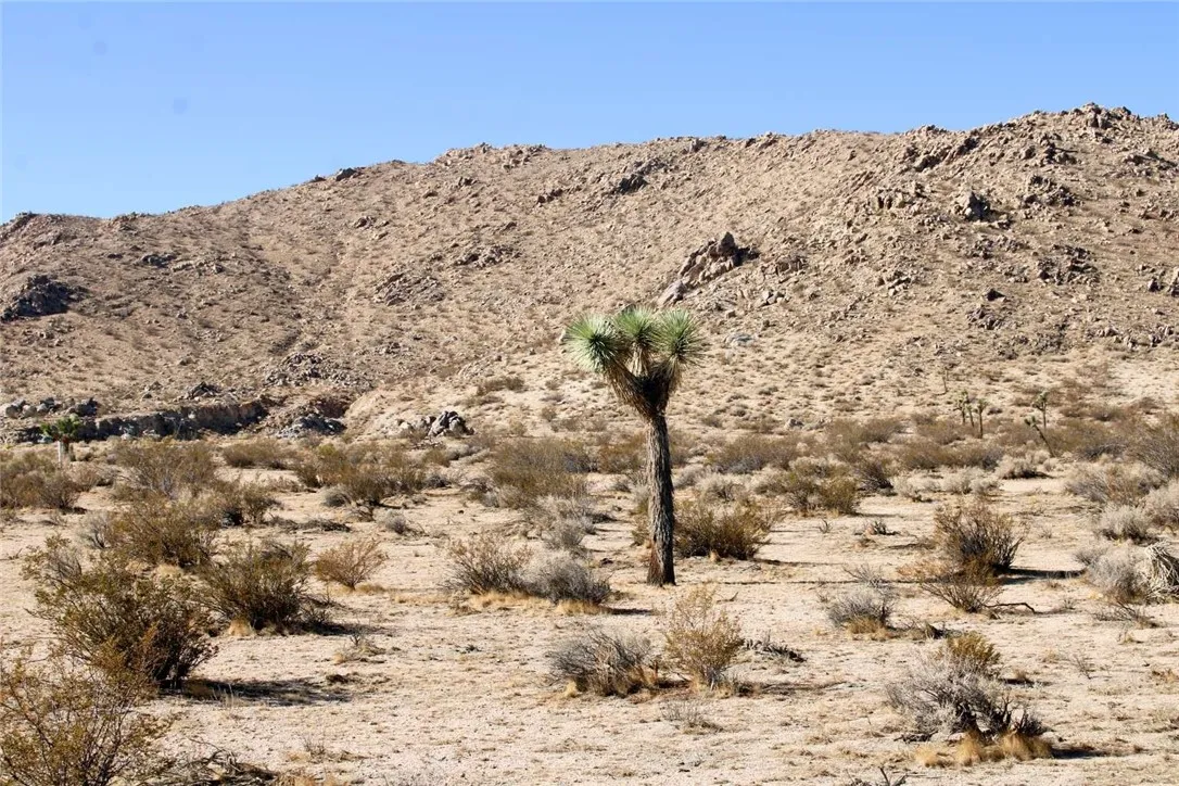 Additional image 38 of 20999 Bella Vista Drive, El Mirage, CA 92301