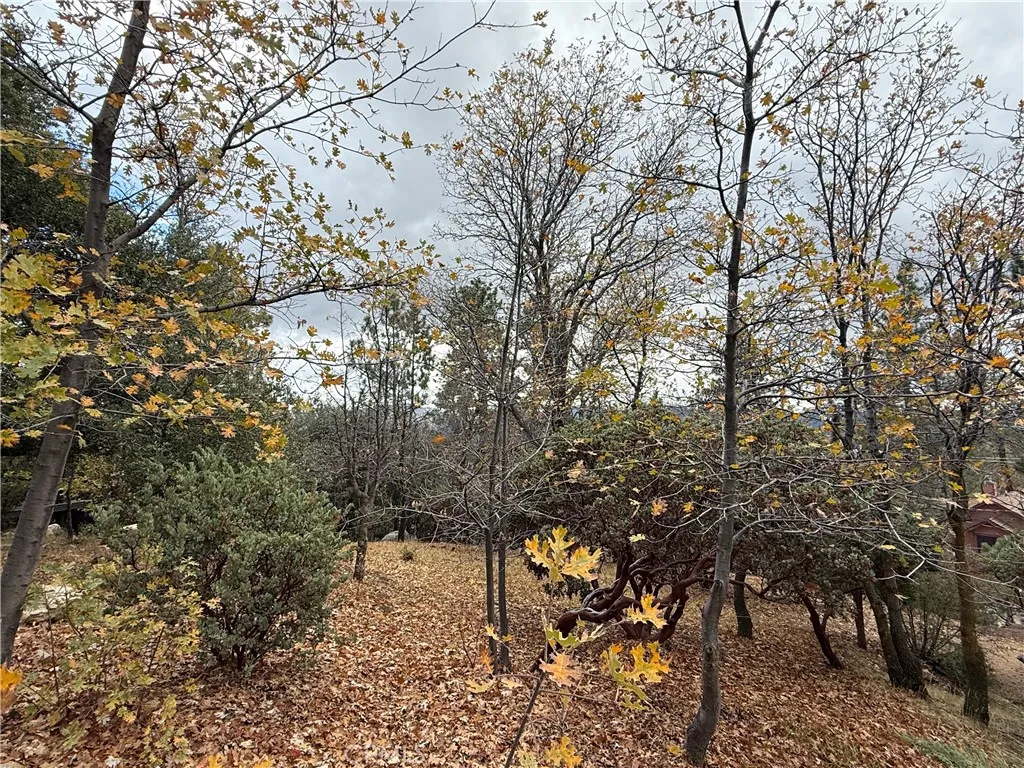 Additional image 5 of Yosemite Drive, Lake Arrowhead, CA 92352