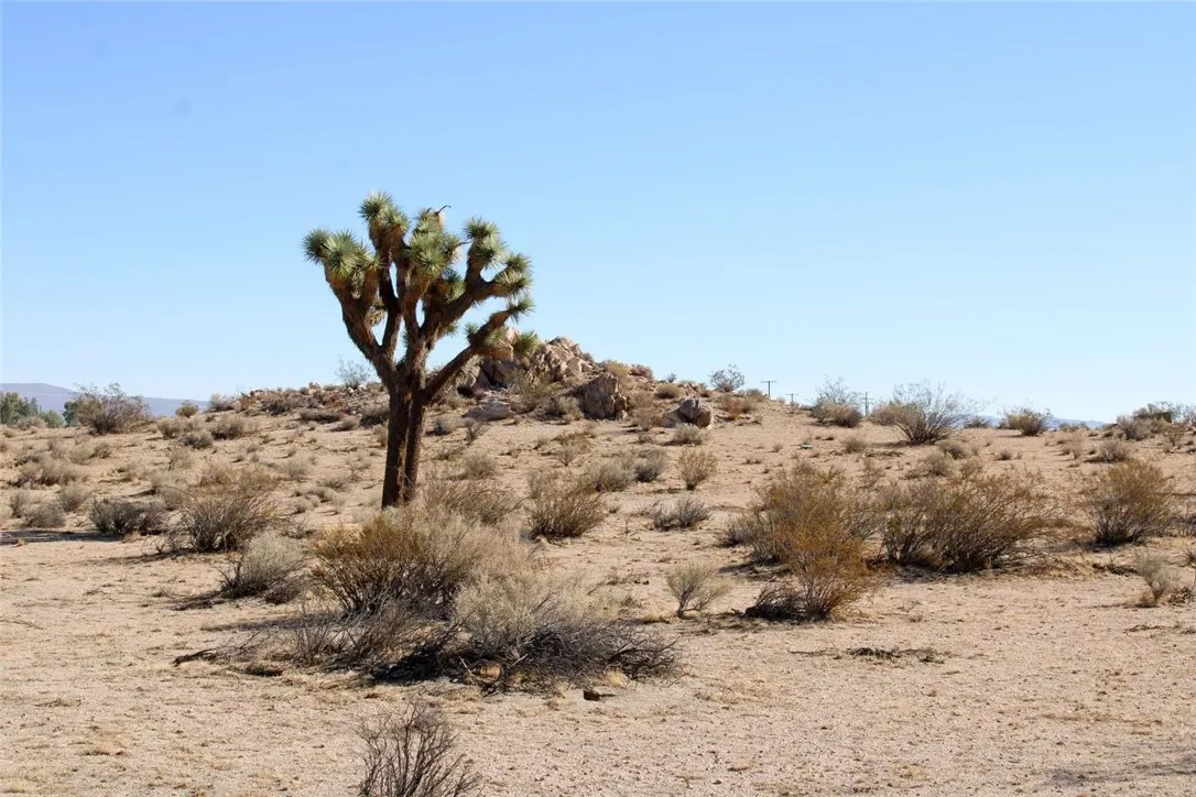 Additional image 34 of 20999 Bella Vista Drive, El Mirage, CA 92301