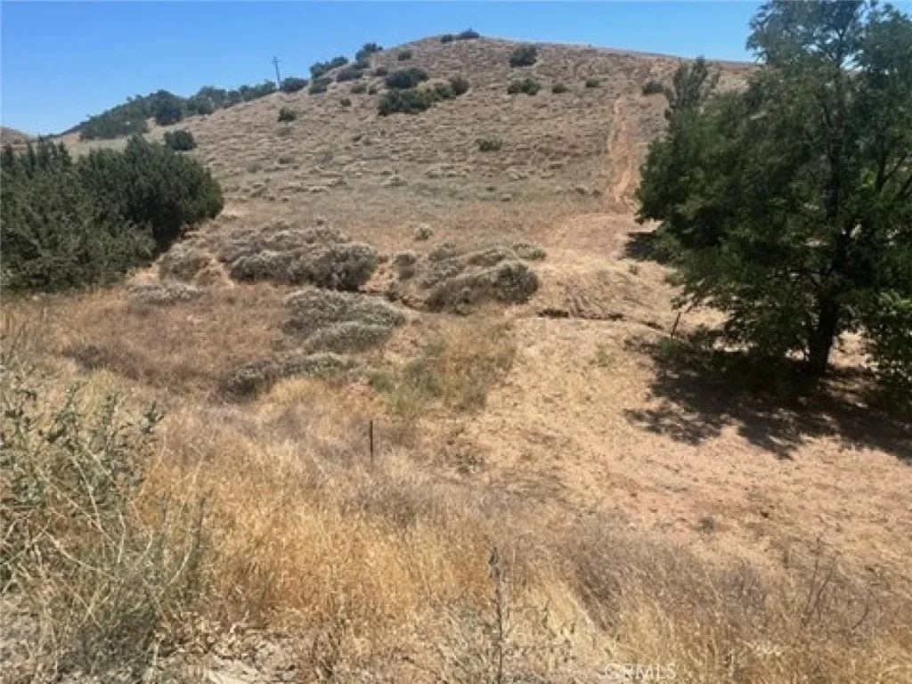 Additional image 10 of Sierra, Acton, CA 93510