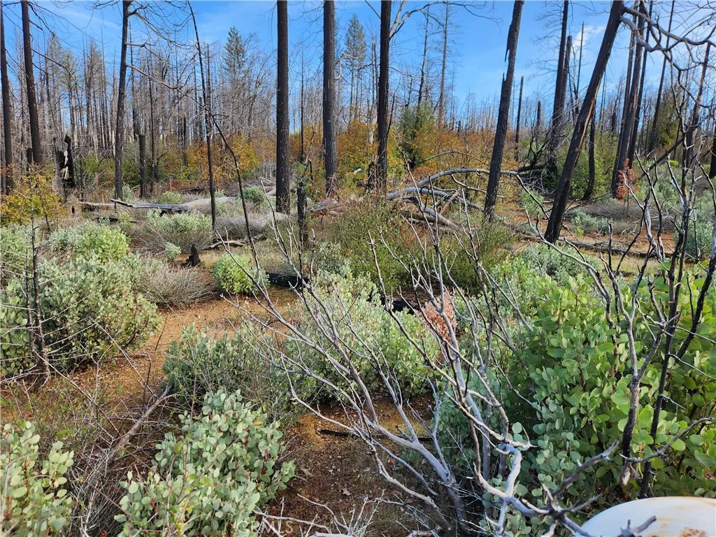 Property image for 120 Woodsmoke Way, Berry Creek, CA 95916