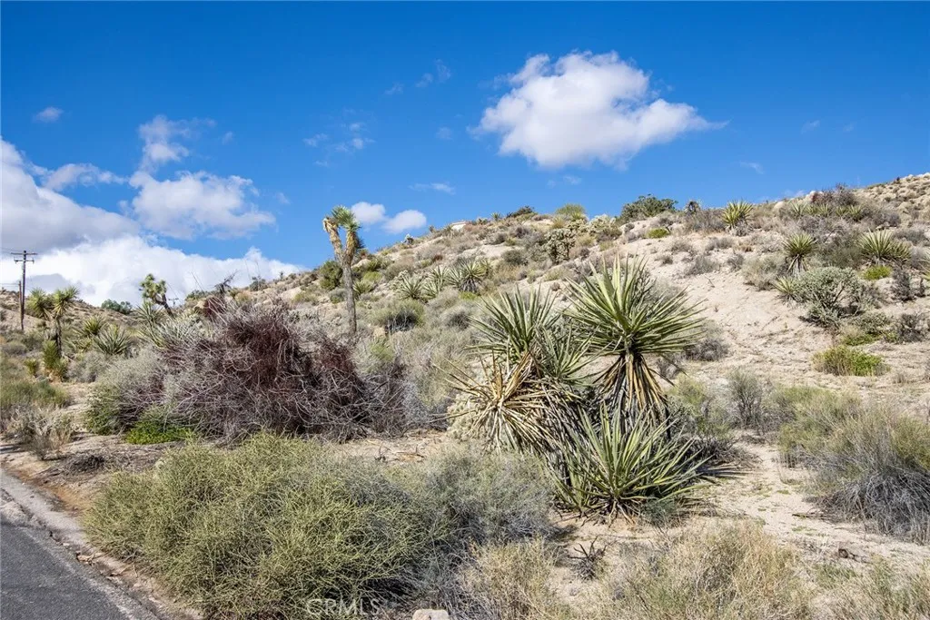 Additional image 24 of 57154 Buena Suerte Road, Yucca Valley, CA 92284