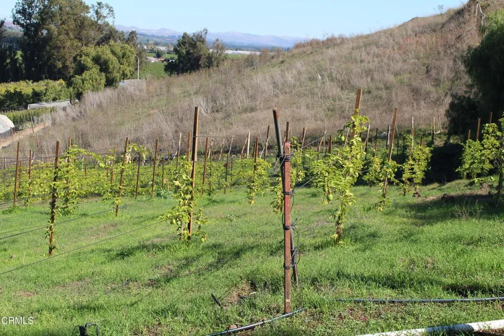 Additional image 16 of 1672 E Los Angeles Avenue, Somis, CA 93066