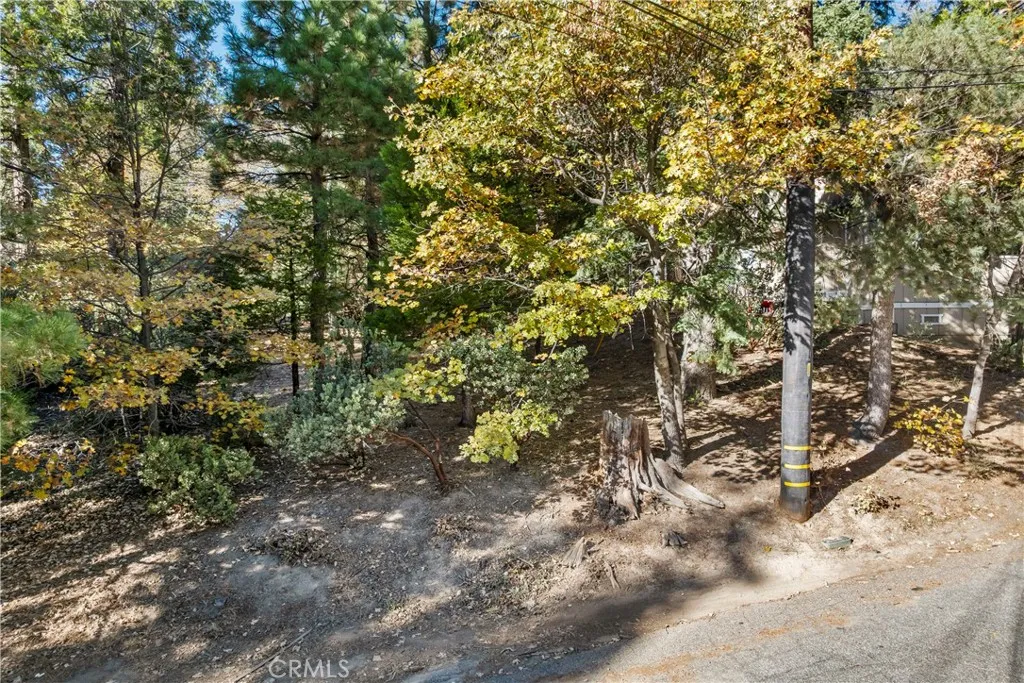 Additional image 5 of Pioneer Road, Lake Arrowhead, CA 92352