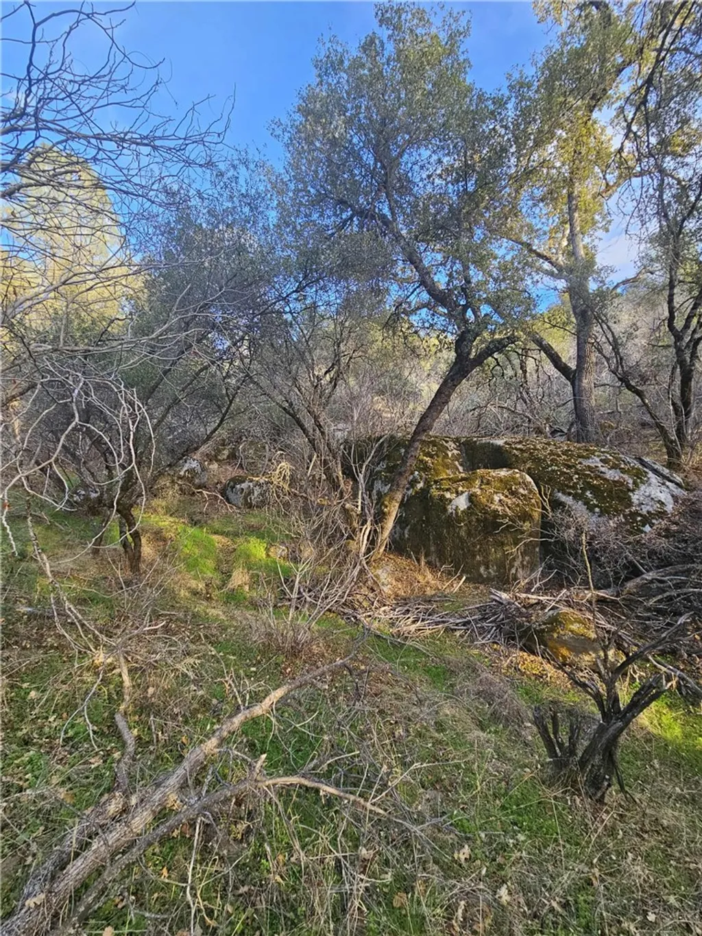 Additional image 17 of 58111 Lark Ln, North Fork, CA 93643