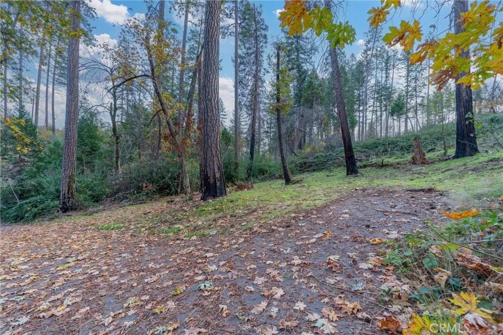 Additional image 62 of 1770 Heynen Rd, Paradise, CA 95969