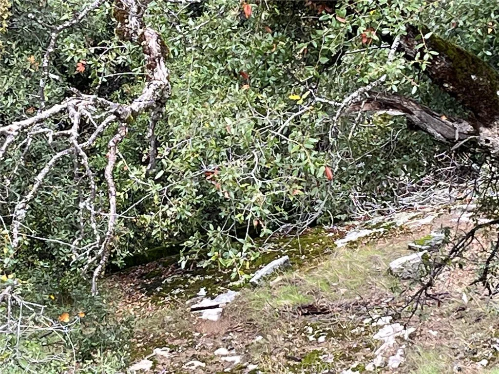 Additional image 20 of Jean Road E, Oakhurst, CA 93644