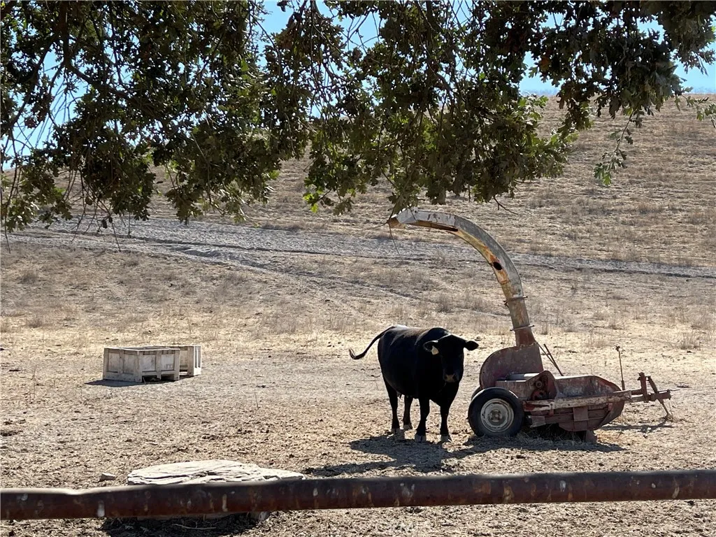 Additional image 14 of 1 Las Tablas, Templeton, CA 93465