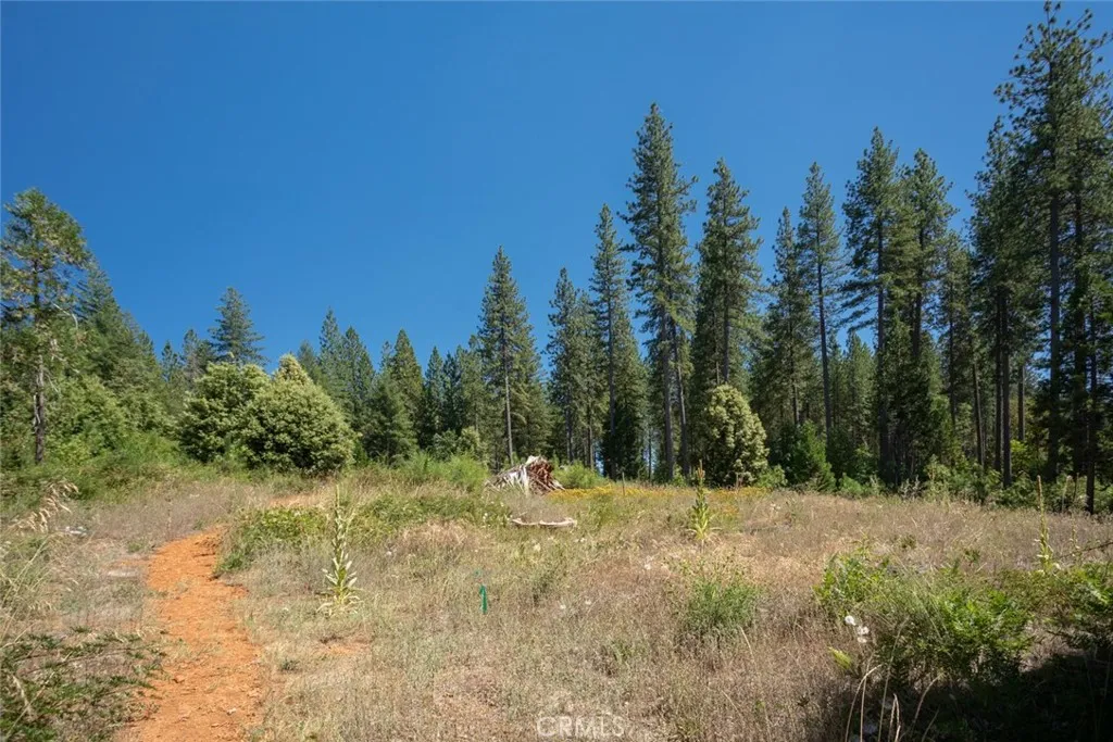 Additional image 73 of forbestown rd, Forbestown, CA 95941