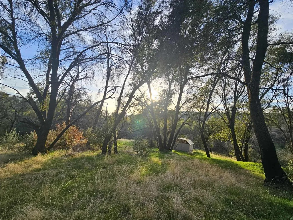 Additional image 8 of 58111 Lark Ln, North Fork, CA 93643