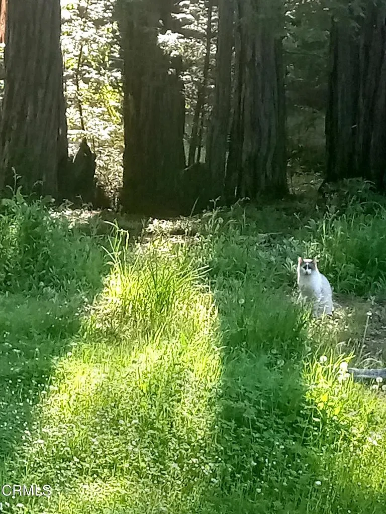 Additional image 20 of 19800 Appaloosa Way, Philo, CA 95463