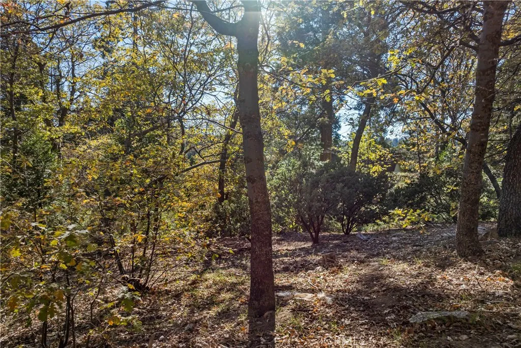Additional image 23 of Pioneer Road, Lake Arrowhead, CA 92352