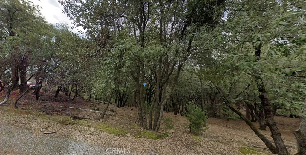 Additional image 3 of 18600 Mountain View Dr, Pine Grove, CA 95665