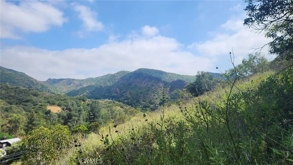 Additional image 11 of Ladd Canyon, Silverado, CA 92676