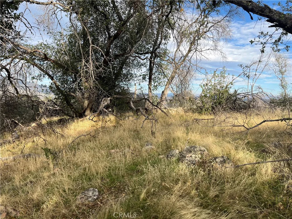 Additional image 131 of 4934 Guadalupe Fire, Catheys Valley, CA 95306