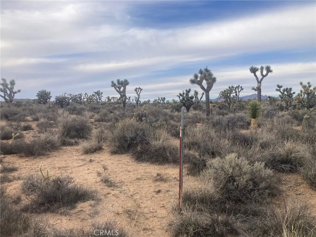 Additional image 4 of Cedar Canyon, Essex, CA 92332