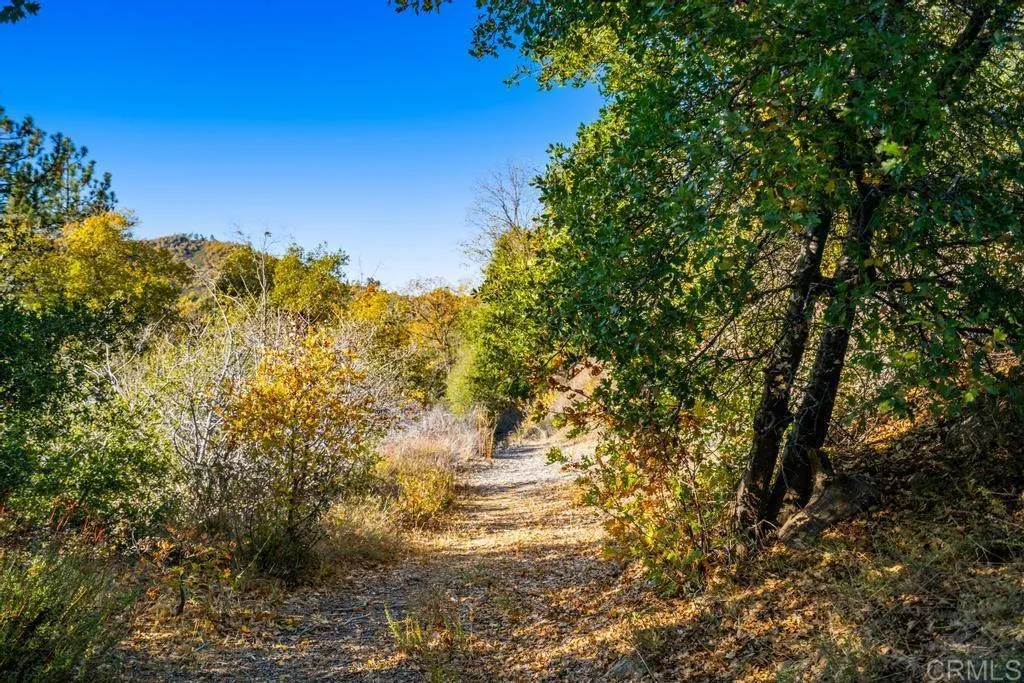 Additional image 48 of State Park Road, Palomar Mountain, CA 92060