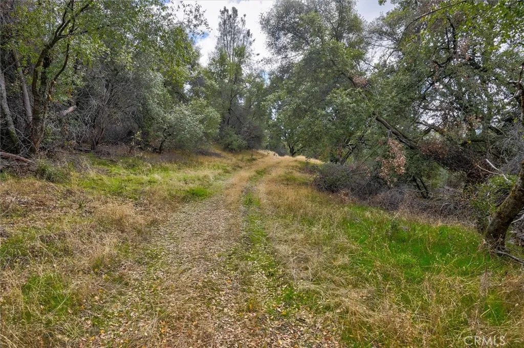 Additional image 13 of Watt Rd Extension, Mariposa, CA 95338