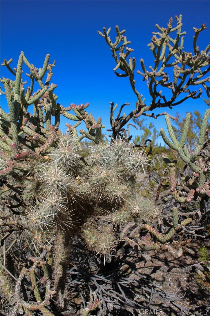 Additional image 49 of 61876 Mountain View Circle, Joshua Tree, CA 92252