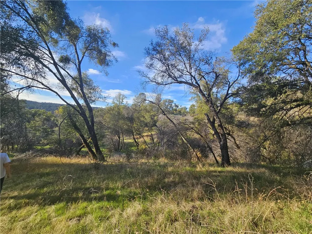 Additional image 4 of 58111 Lark Ln, North Fork, CA 93643