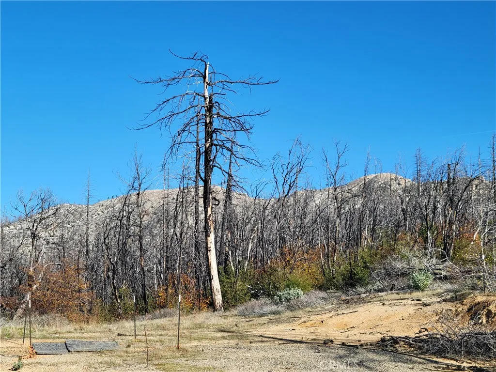 Additional image 14 of 161 Shadow Creek Road, Berry Creek, CA 95916