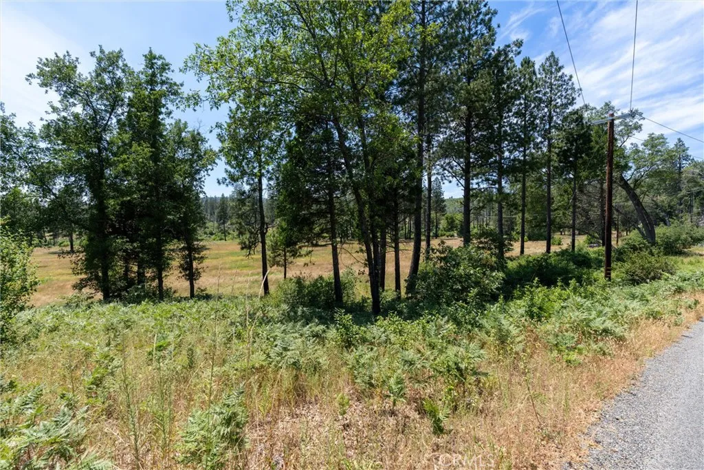 Additional image 33 of 100 Windermere Lane, Concow, CA 95965