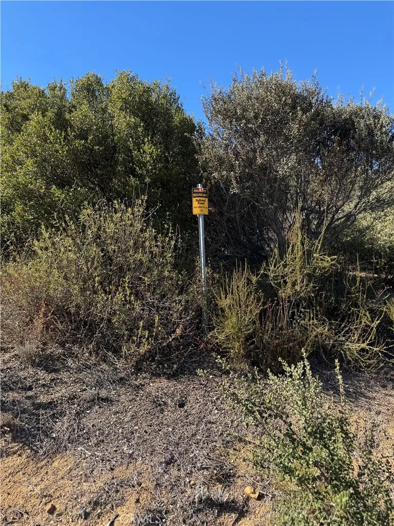 Additional image 74 of Arroyo Road, Lake Elsinore, CA 92530