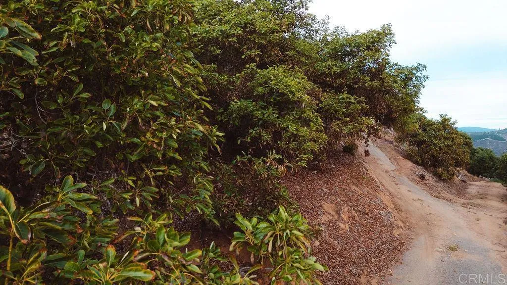 Additional image 14 of 1411 Wild Acres Rd., Vista, CA 92084