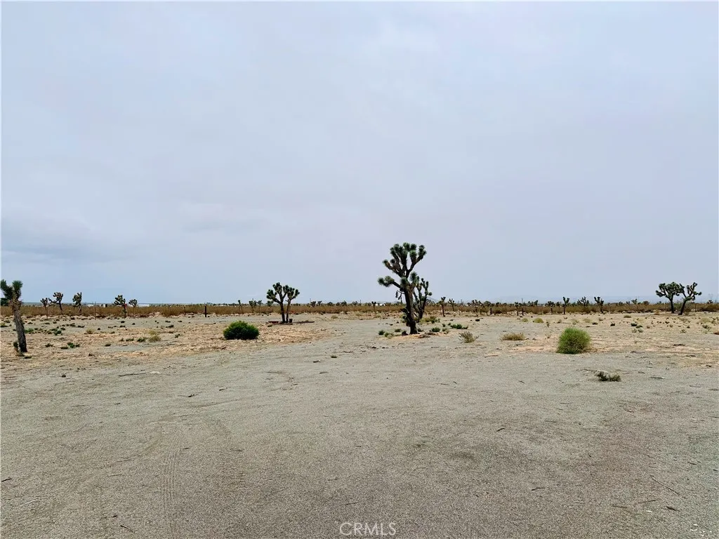 Additional image 28 of 12452 Golden View Rd, Pinon Hills, CA 92372