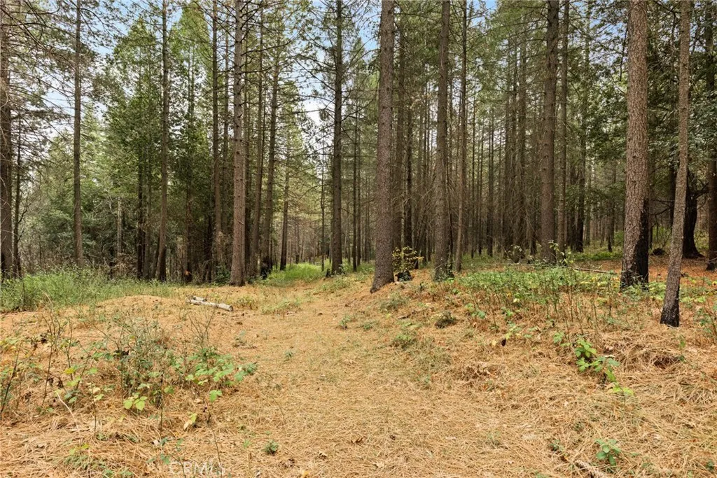 Additional image 27 of Old Forbestown Road, Forbestown, CA 95941